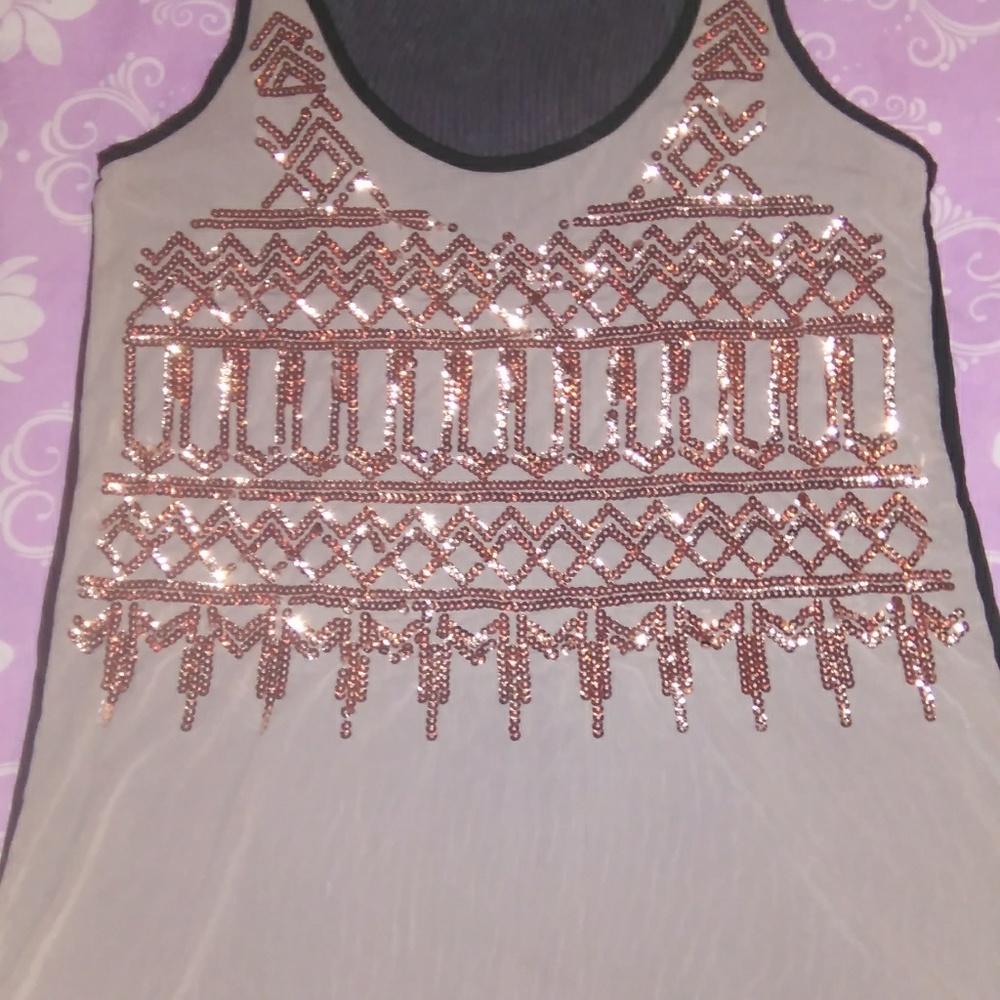 NWOT Daytrip sheer/sequin top